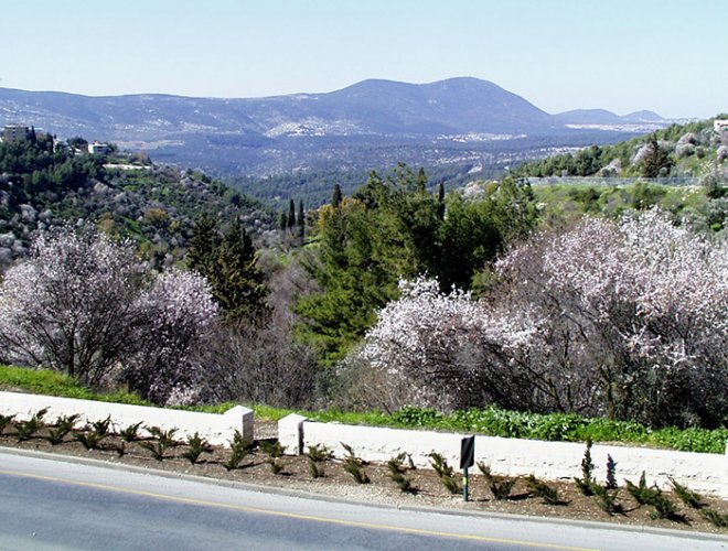 Spring in the Galilee