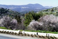 Spring in the Galilee